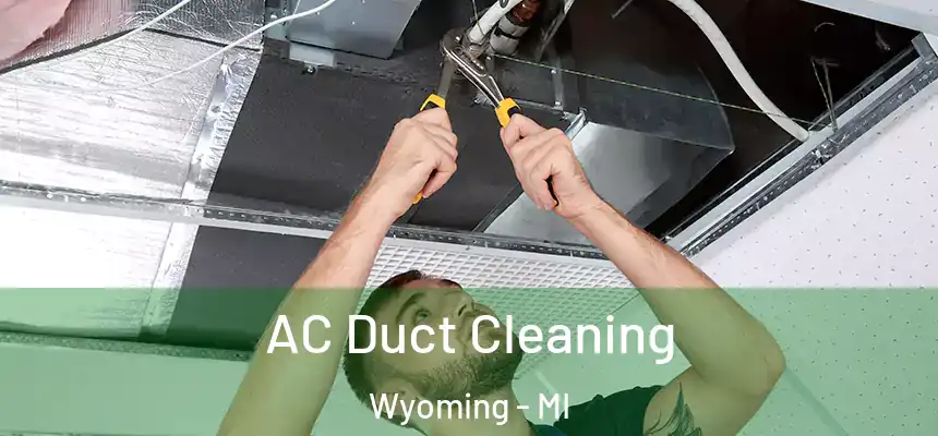 AC Duct Cleaning Wyoming - MI