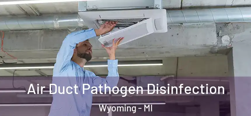 Air Duct Pathogen Disinfection Wyoming - MI