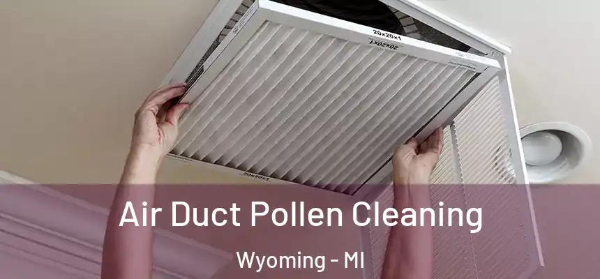 Air Duct Pollen Cleaning Wyoming - MI