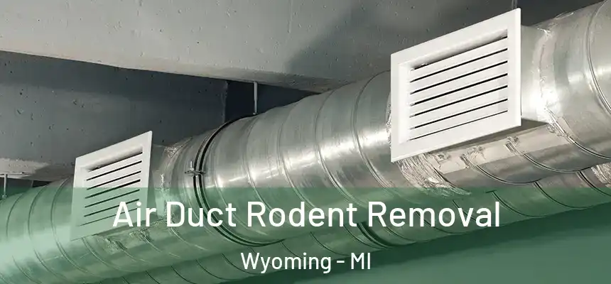 Air Duct Rodent Removal Wyoming - MI