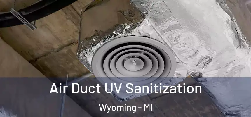  Air Duct UV Sanitization Wyoming - MI