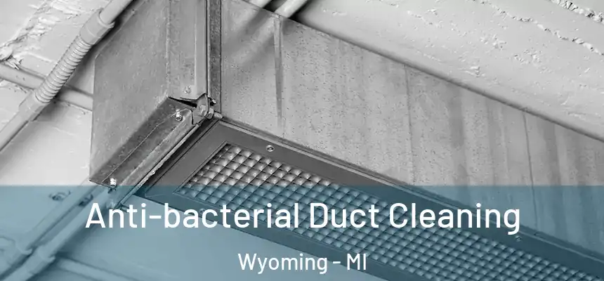 Anti-bacterial Duct Cleaning Wyoming - MI