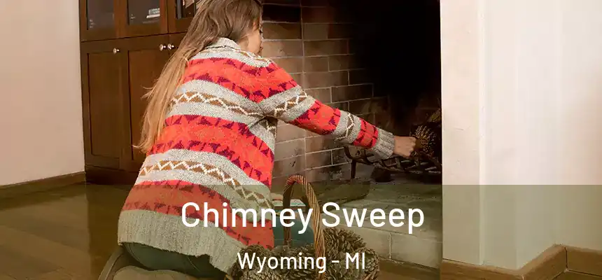  Chimney Sweep Wyoming - MI