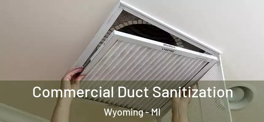  Commercial Duct Sanitization Wyoming - MI