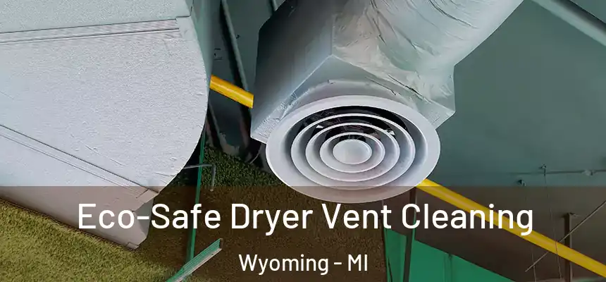 Eco-Safe Dryer Vent Cleaning Wyoming - MI
