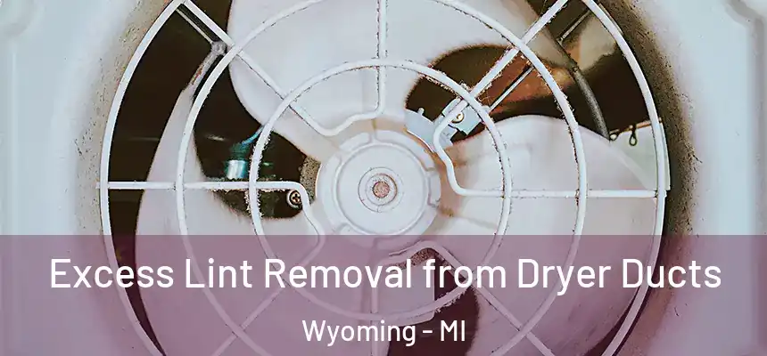 Excess Lint Removal from Dryer Ducts Wyoming - MI