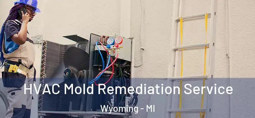  HVAC Mold Remediation Service Wyoming - MI