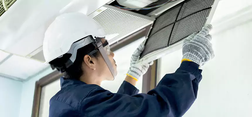 Our Mold & Mildew Removal from Air Ducts Services in Wyoming, MI