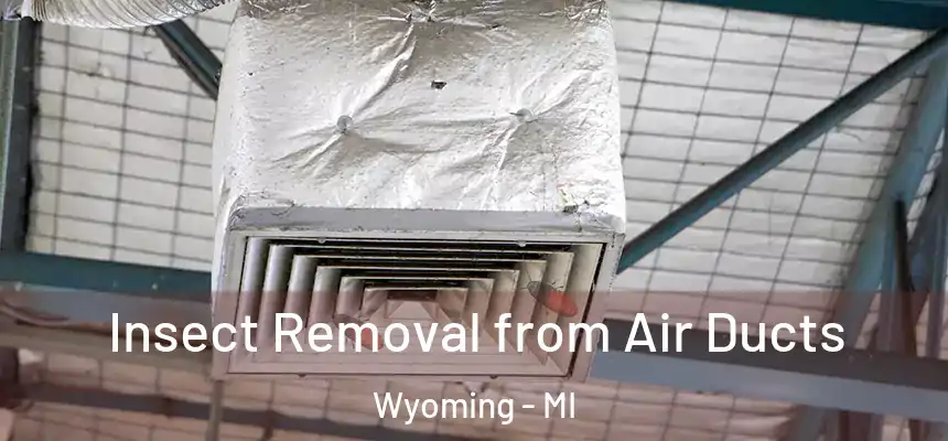 Insect Removal from Air Ducts Wyoming - MI