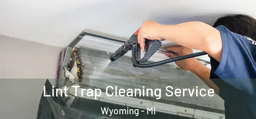 Lint Trap Cleaning Service Wyoming - MI