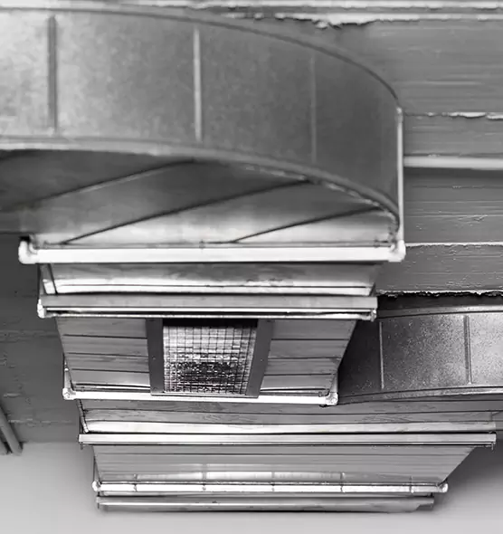 Professional Air Duct Pet Hair Removal in Wyoming, MI