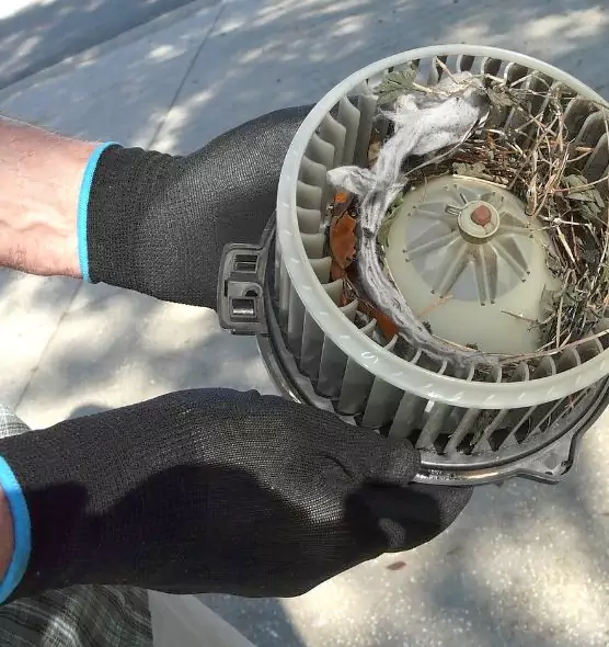 About Air Duct Rat Removal in Wyoming, MI